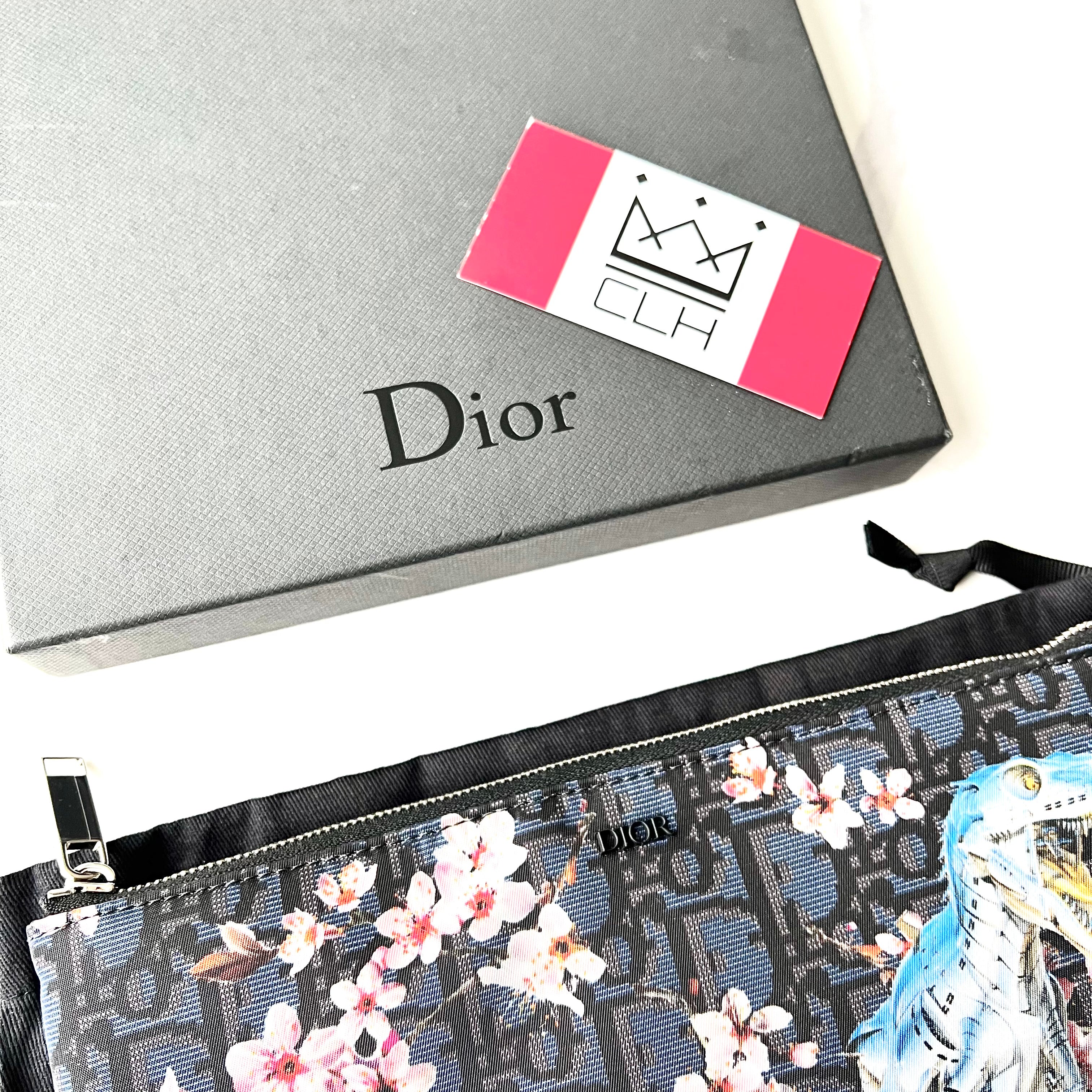 DIOR X SORAYAMA DINOSAUR POUCH