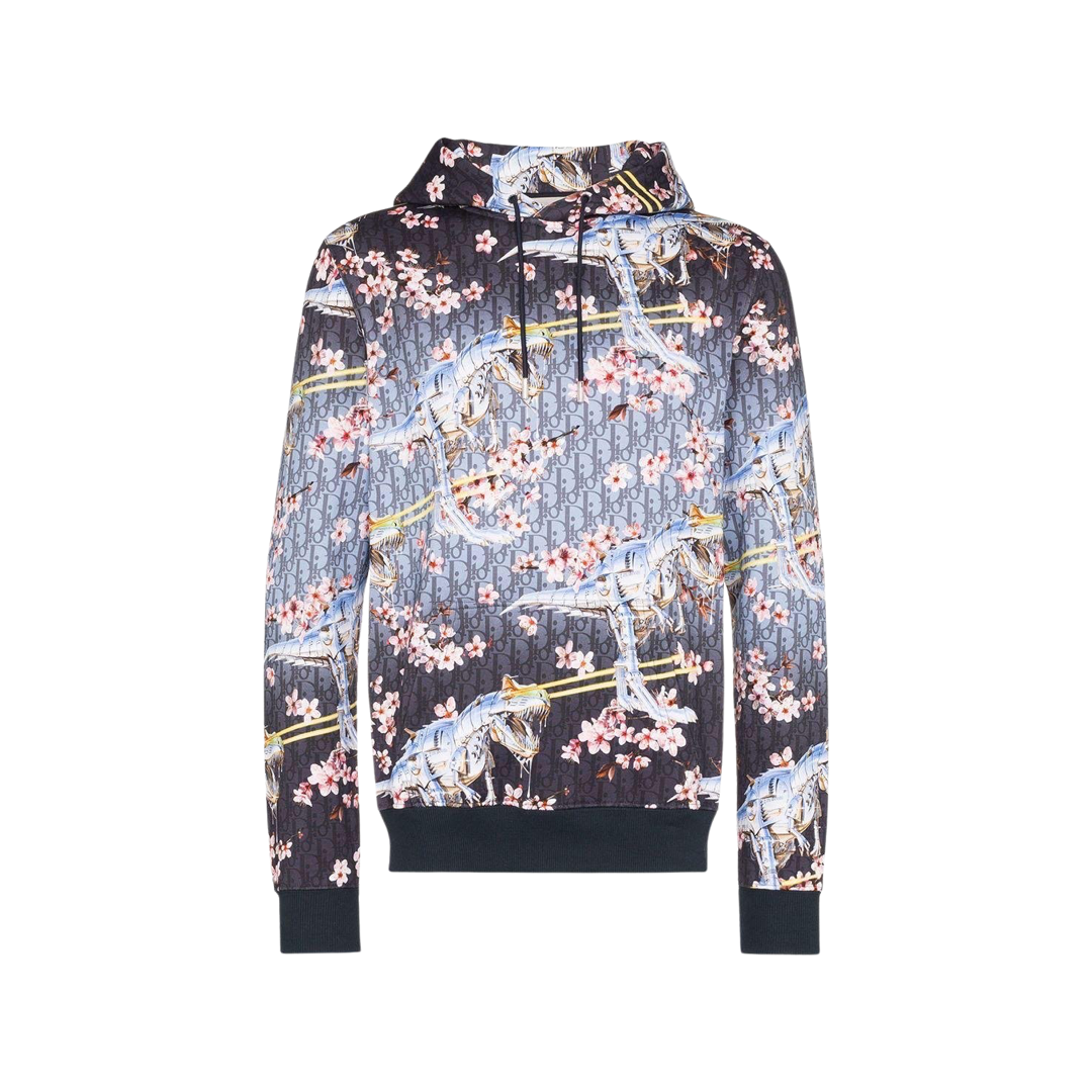 DIOR SORAYAMA DINOSAUR HOODED SWEATSHIRT